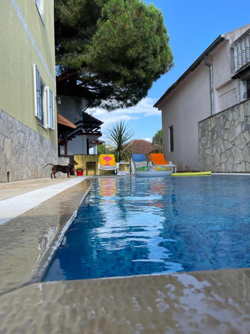 Apartments Villa-G Lustica Tivat Eksteriør bilde